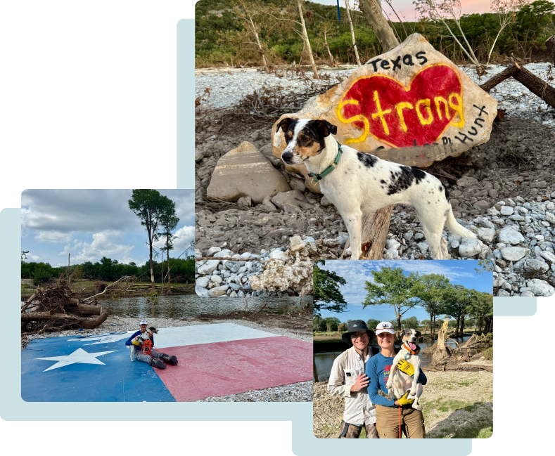 heidi-cheza-search-rescue-dog-canine-athletes-toolbox Cheza, the search and rescue dog, image collage